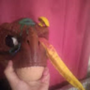 Meet your Posher, Shade